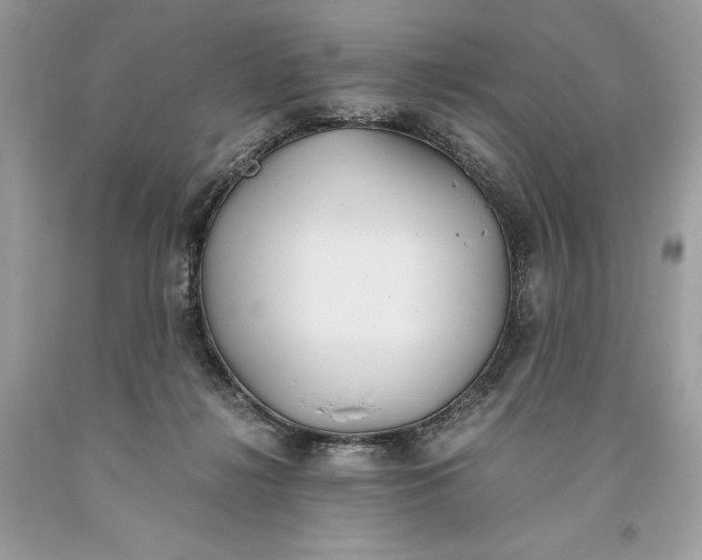 X0000093510268200710261204