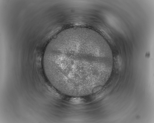 X0000093510269200710261204