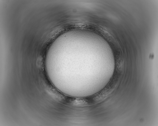 X0000093510270200710261204