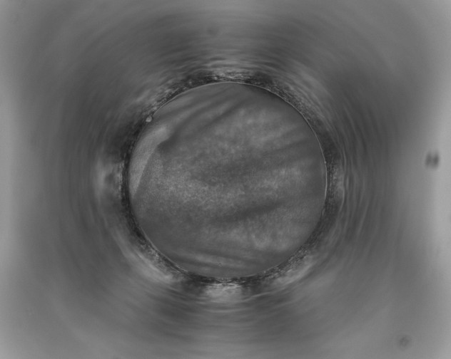 X0000093510271200710261204