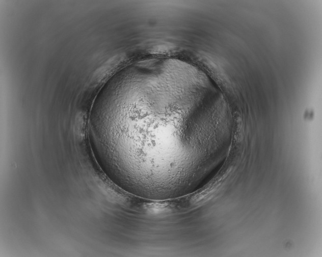 X0000093510273200710261204