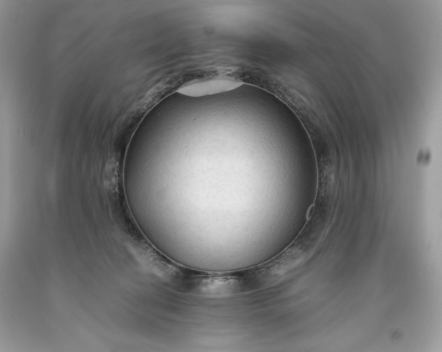 X0000093510274200710261204