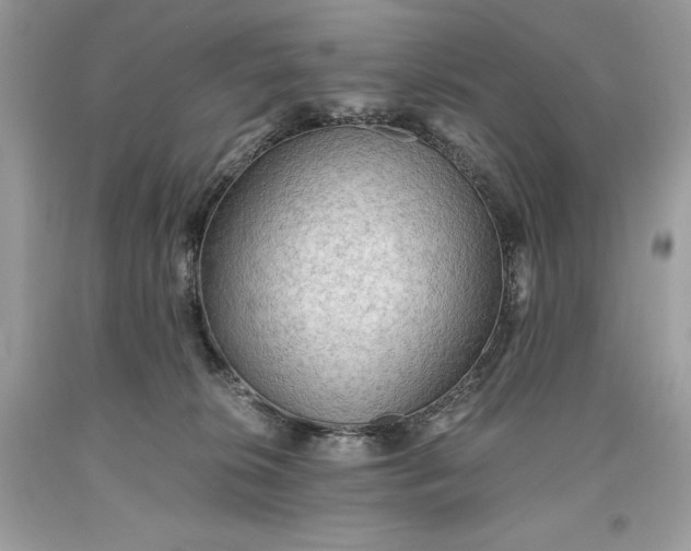 X0000093510276200710261204