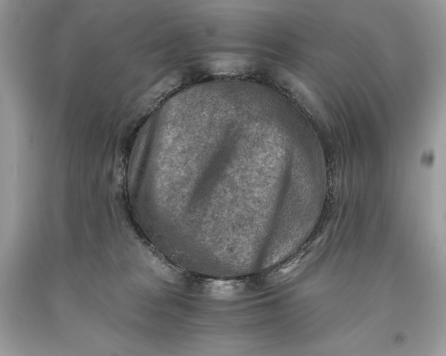 X0000093510277200710261204