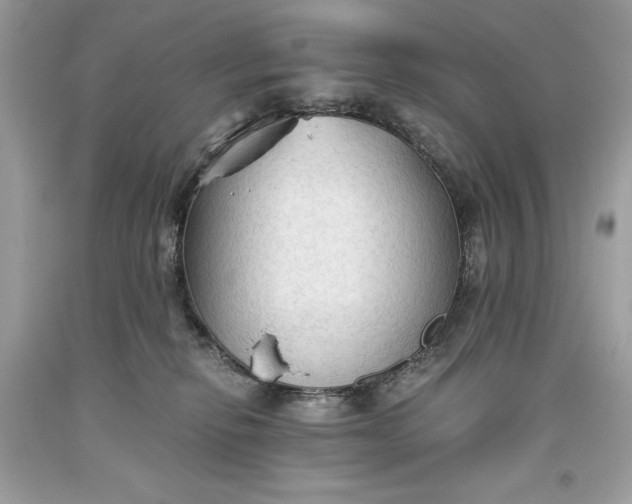 X0000093510278200710261204