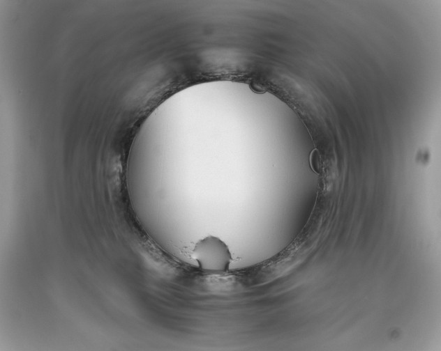 X0000093510279200710261204