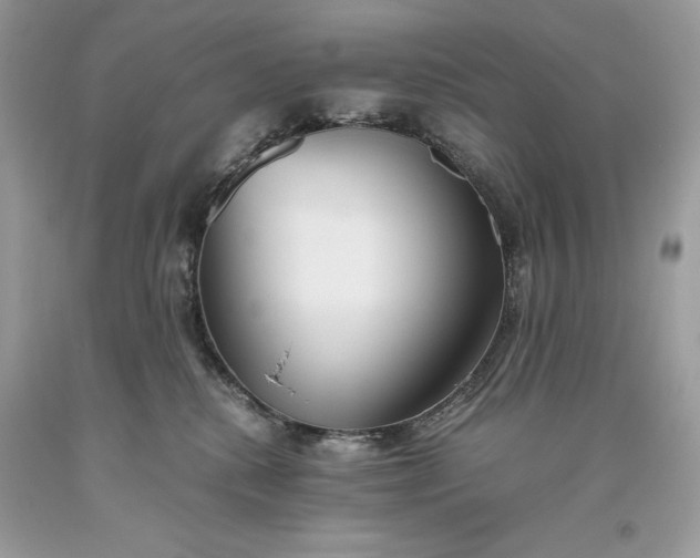 X0000093510280200710261204