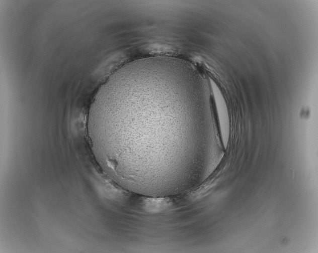 X0000093510281200710261204