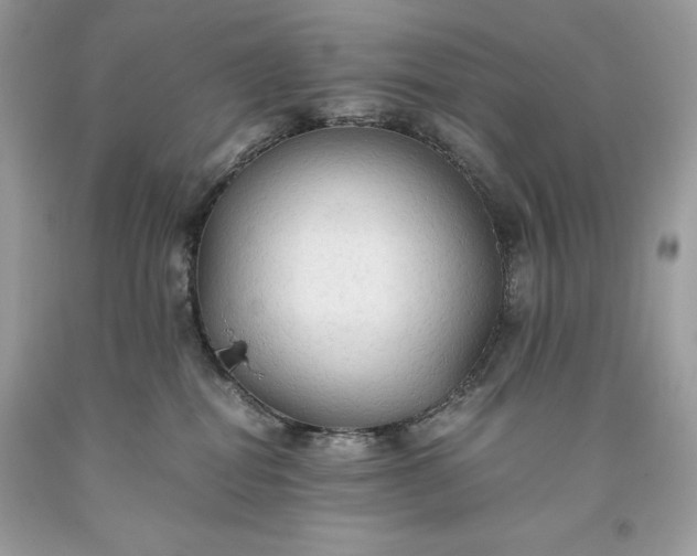 X0000093510282200710261204