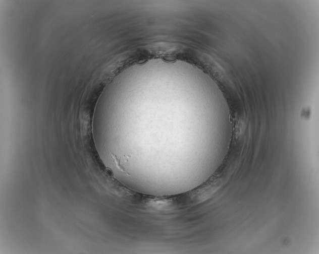 X0000093510283200710261204