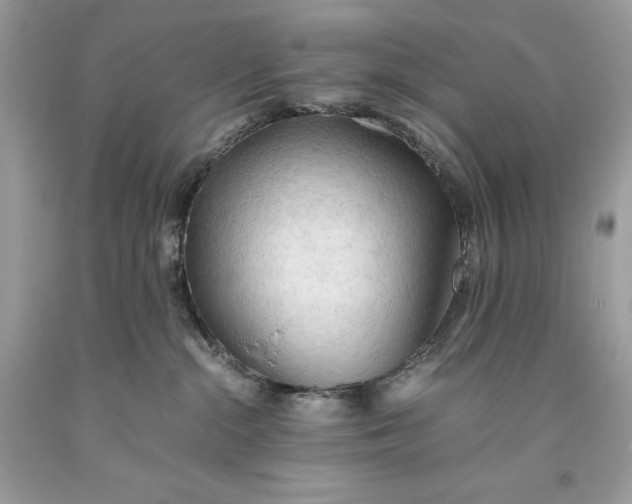 X0000093510284200710261204