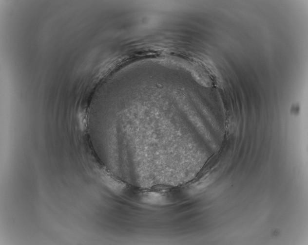 X0000093510285200710261204