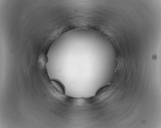 X0000093510287200710261204