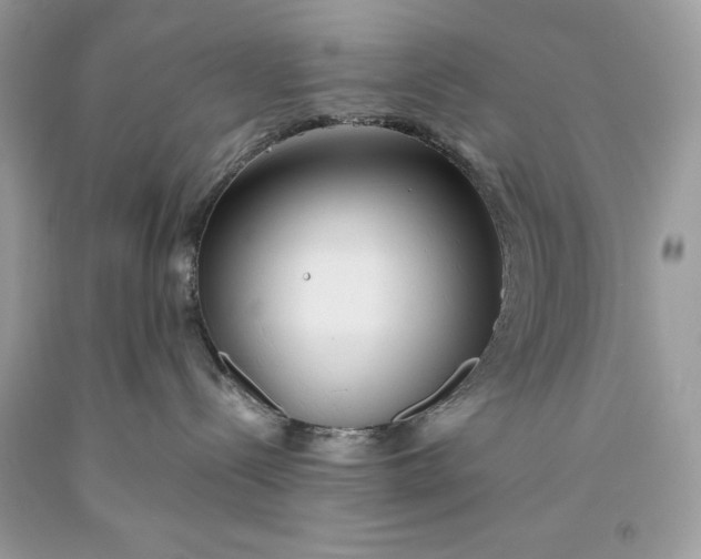 X0000093510288200710261204