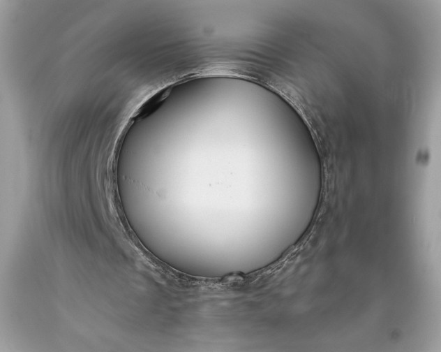 X0000093510289200710261204