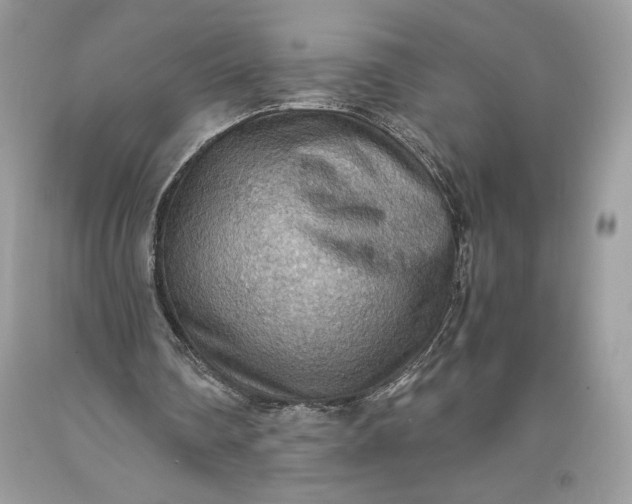 X0000093510290200710261204