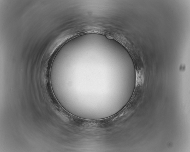 X0000093510291200710261204