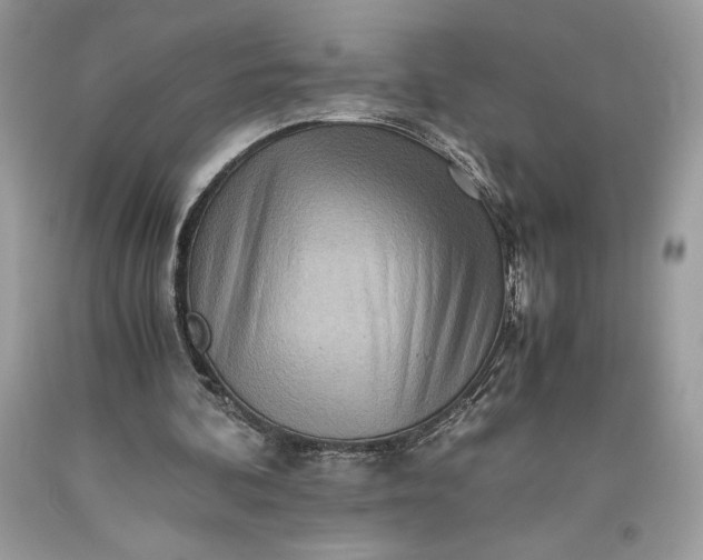 X0000093510292200710261204