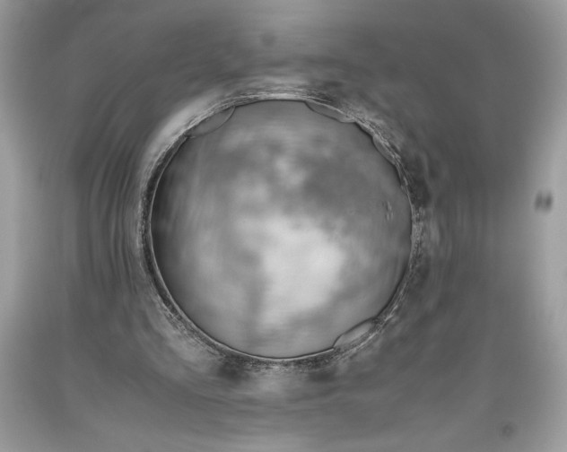 X0000093510293200710261204