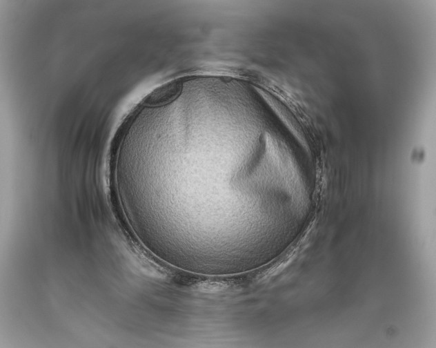 X0000093510294200710261204