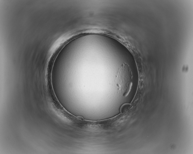 X0000093510296200710261203