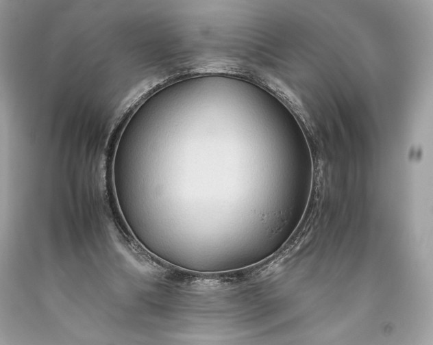 X0000093510298200710261203