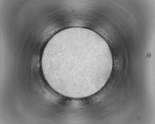 X0000093510302200710261203