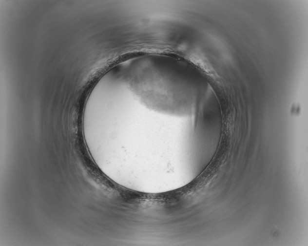 X0000093510303200710261203