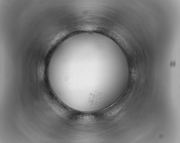 X0000093510304200710261203