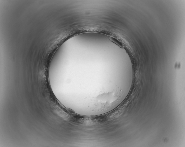 X0000093510305200710261203