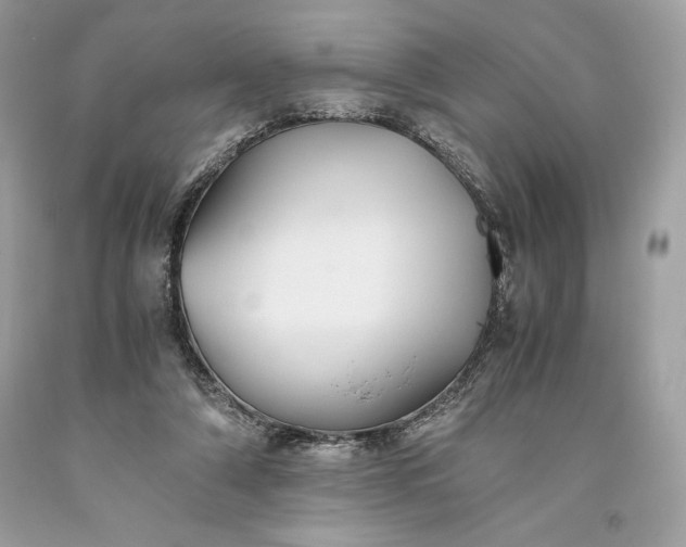 X0000093510306200710261203