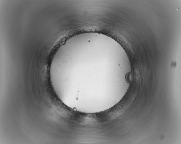 X0000093510308200710261203