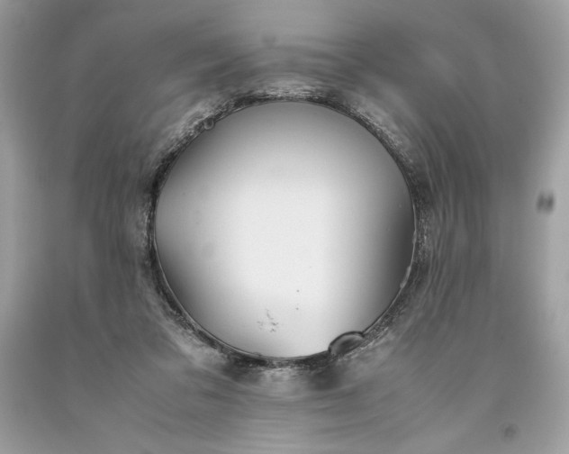 X0000093510309200710261203