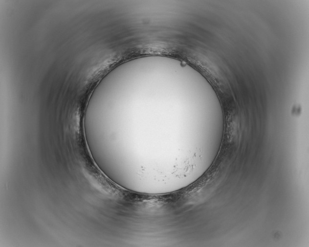 X0000093510310200710261203