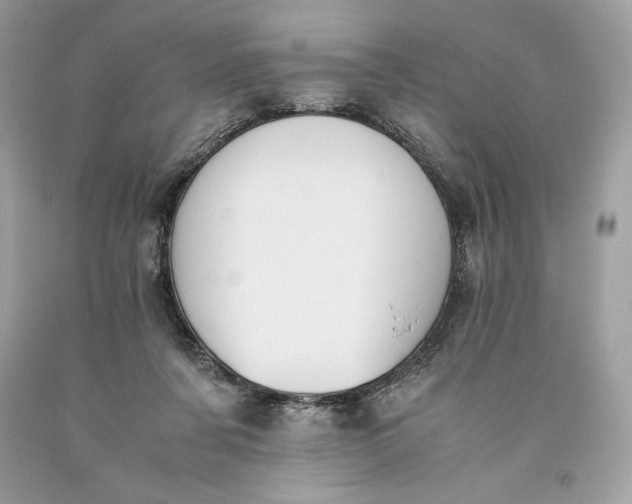 X0000093510311200710261203