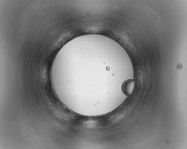 X0000093510312200710261203