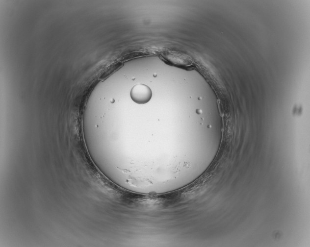 X0000093510313200710261203