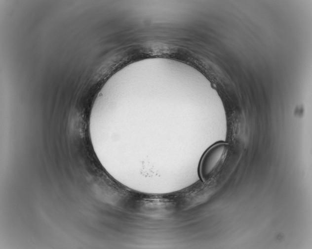 X0000093510316200710261203