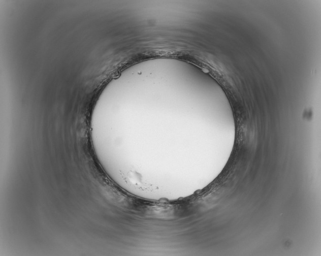 X0000093510317200710261203