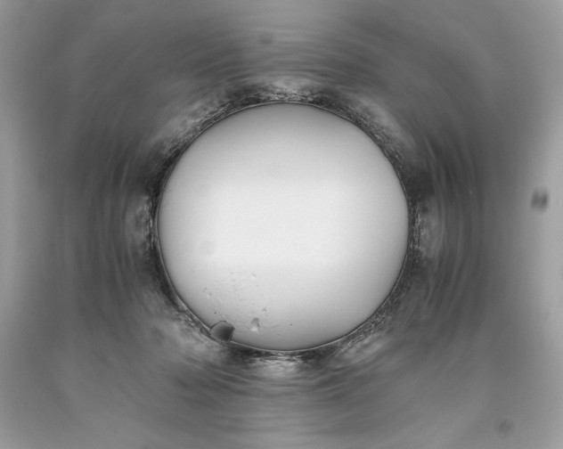 X0000093510318200710261203