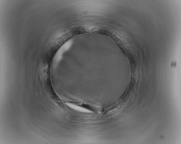 X0000093510319200710261203