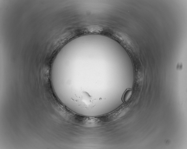 X0000093510321200710261203