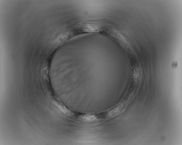 X0000093510322200710261203