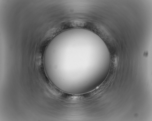 X0000093510323200710261203