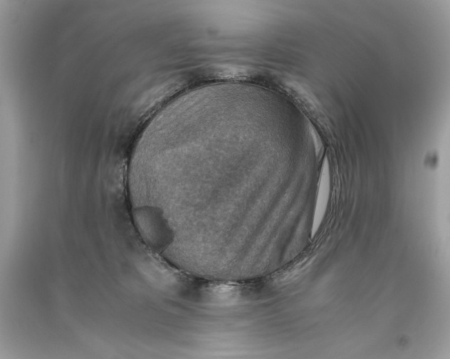 X0000093510325200710261203