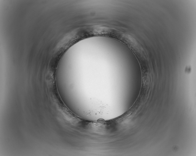 X0000093510327200710261203