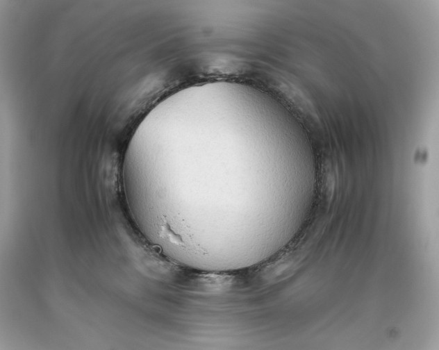 X0000093510328200710261203