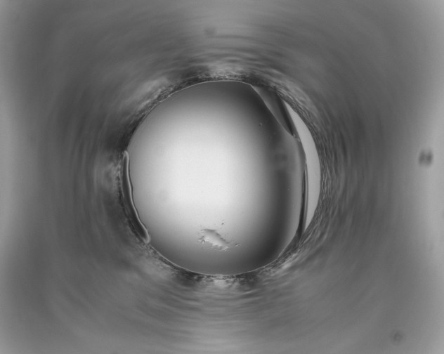 X0000093510329200710261203