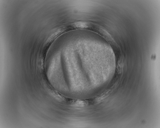 X0000093510330200710261203