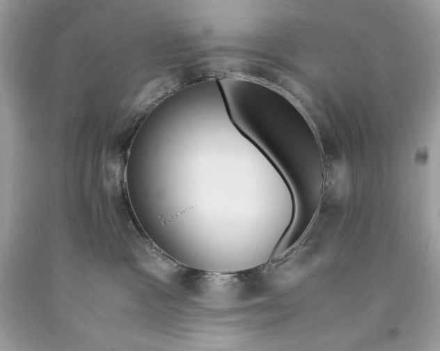 X0000093510333200710261203